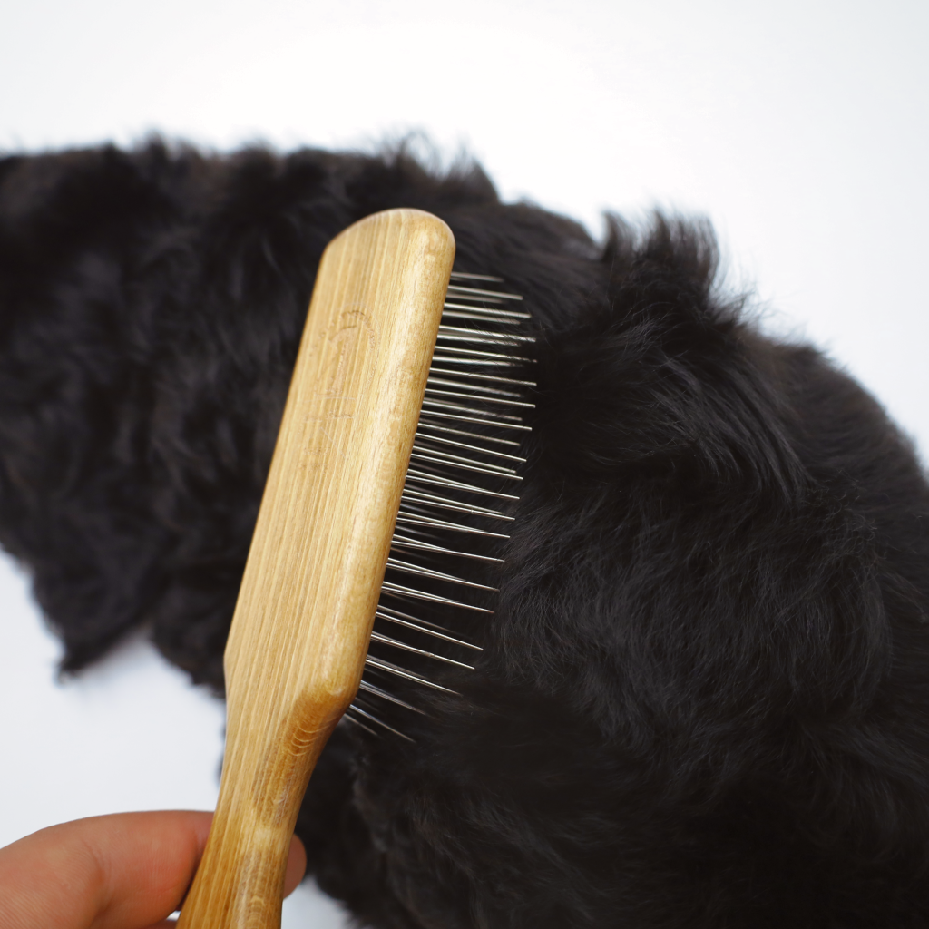 pin dog brush