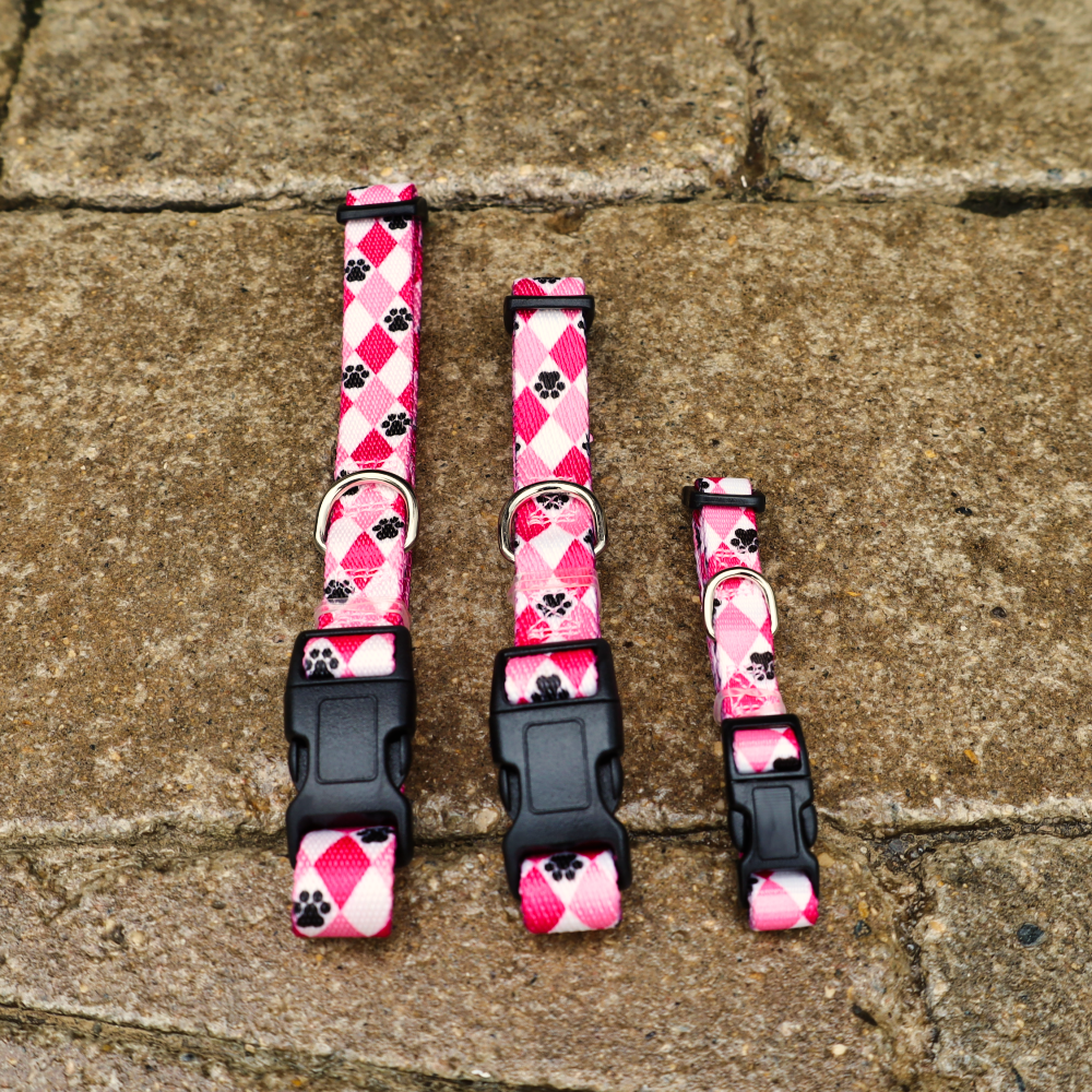 pink collars for dog and puppies