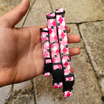 pink collars for dogs