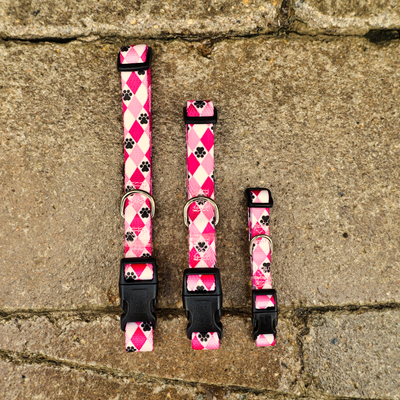 pink collars for puppies