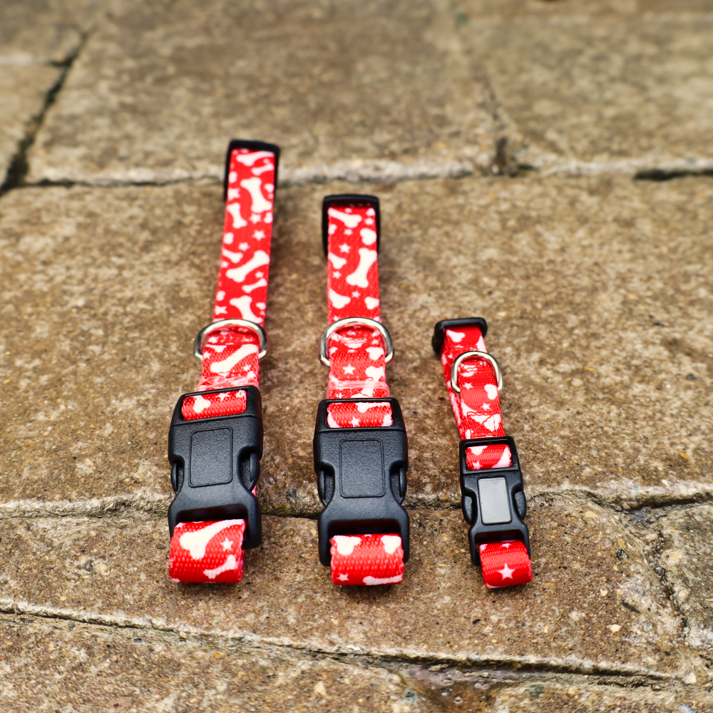 red collars for dogs and puppies