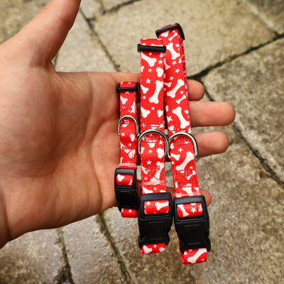 red collars for dogs