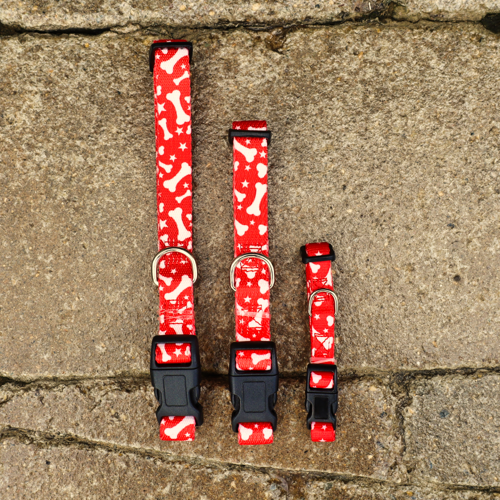 red collars for puppies