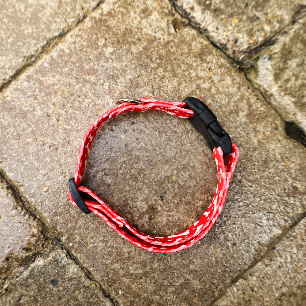 red dog collar with bones