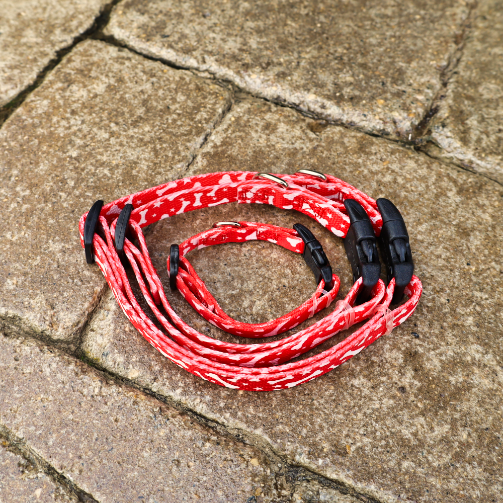 red dog collars
