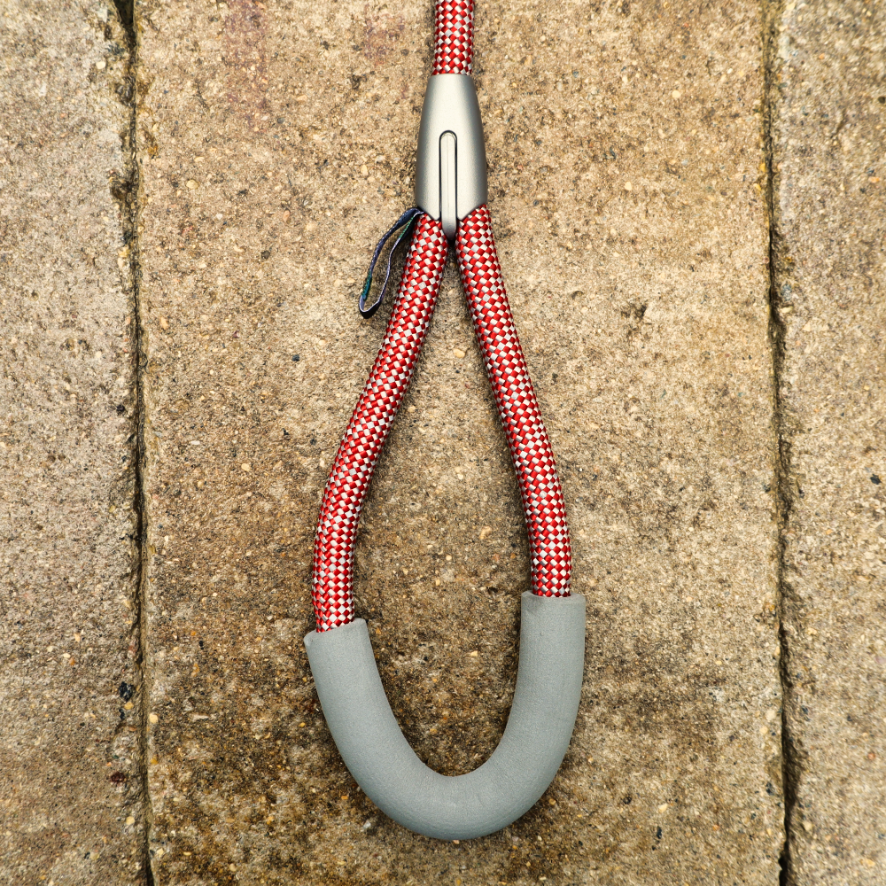 red leash for dogs