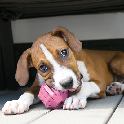 KONG Small Pink Puppy Activity Ball