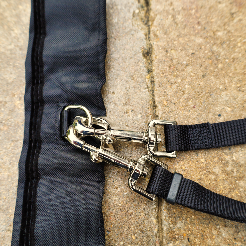 seat belt for dogs
