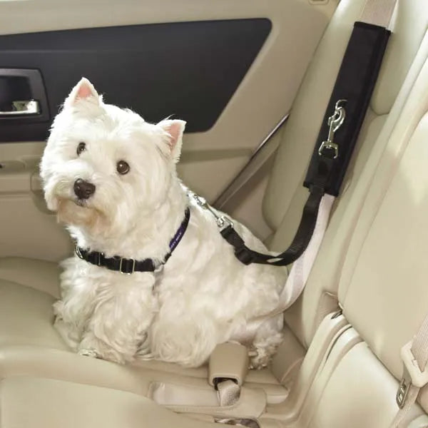 seat belt harnesses for dogs