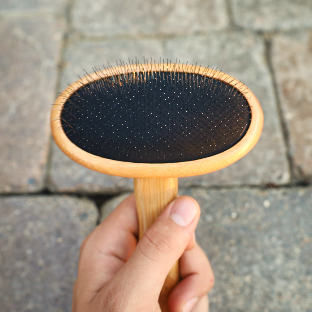 slicker brushes for dogs