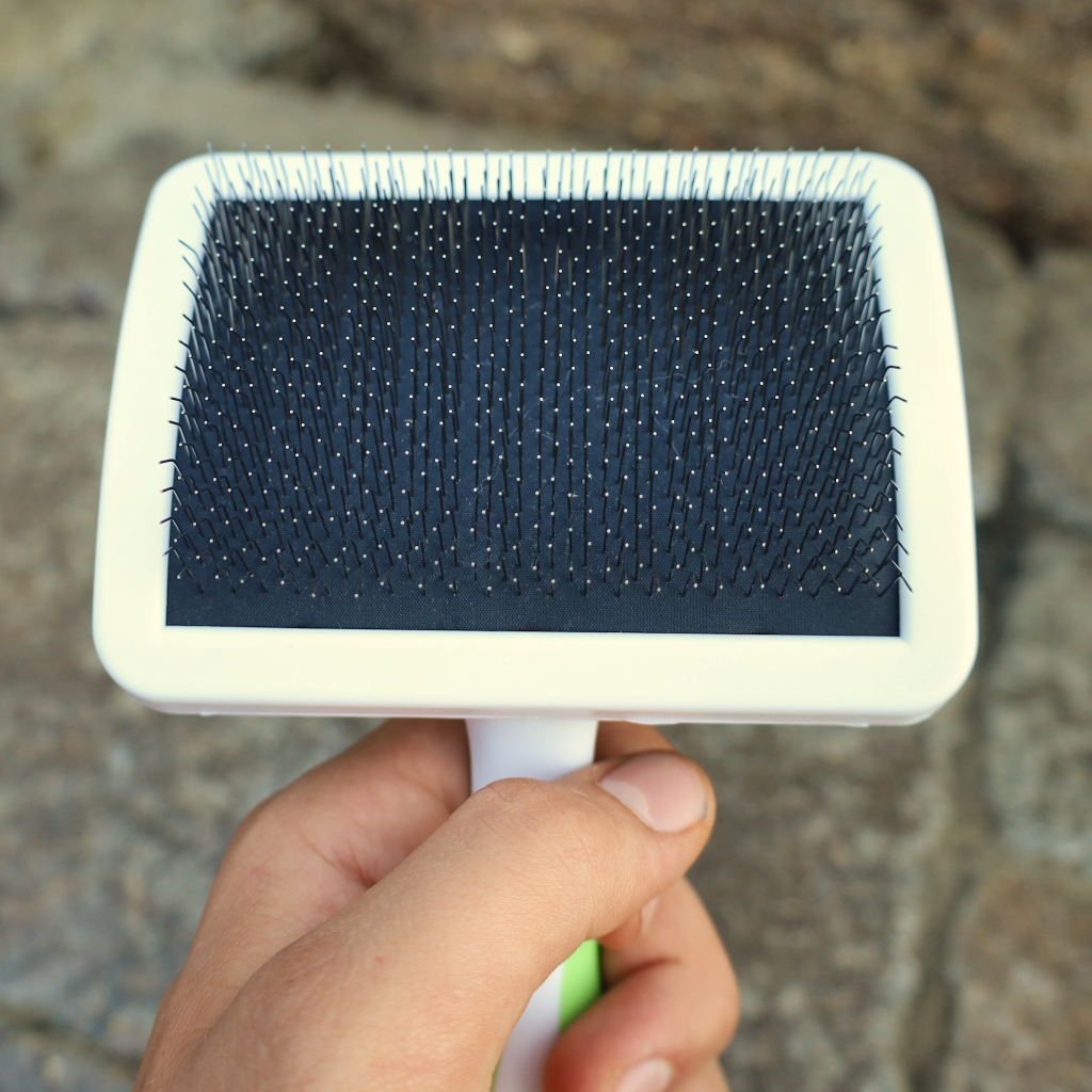 slicker dog brush