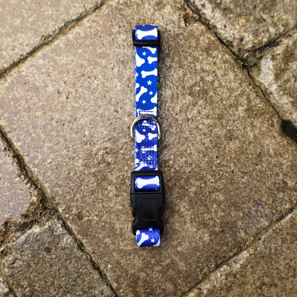 small blue dog collars