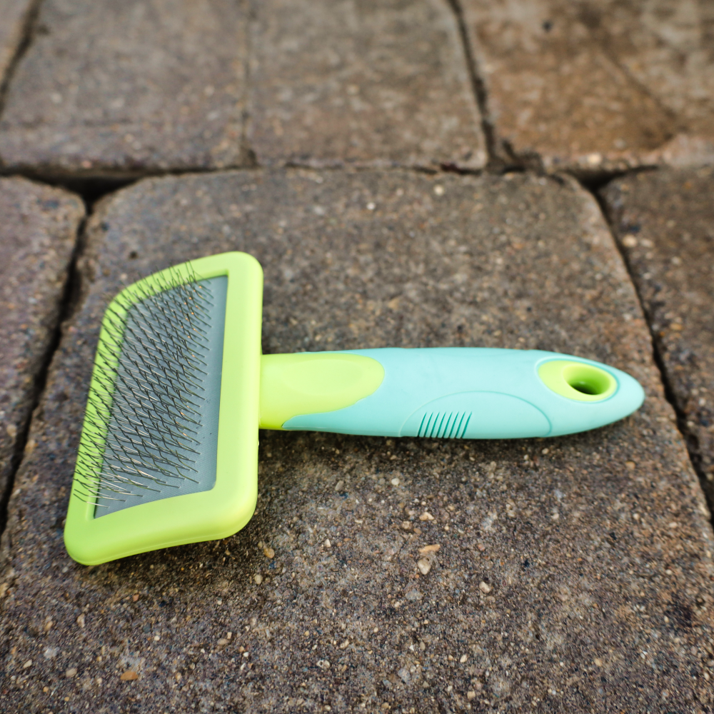 Small U Groom Slicker Brush for Dogs Cats Little Paws Unleashed