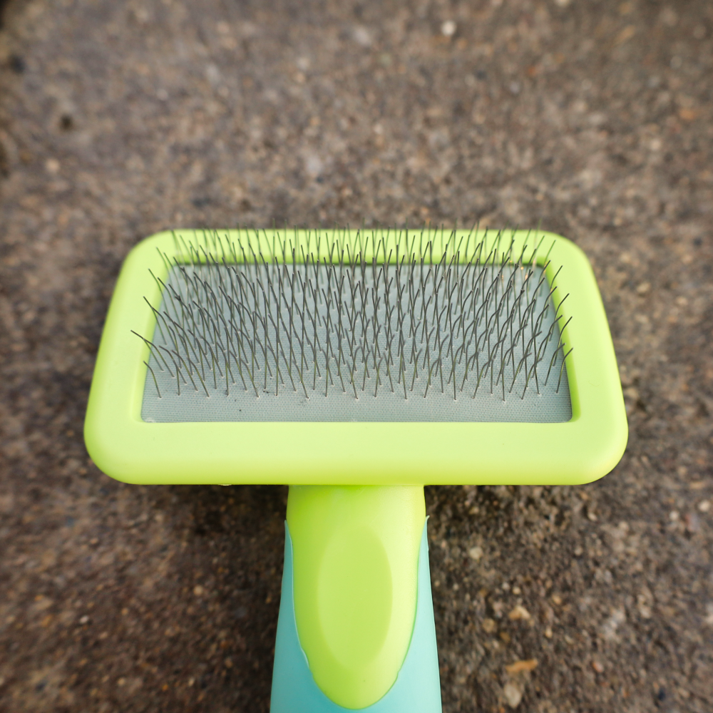 small slicker brush for dogs