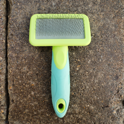 small slicker dog brush