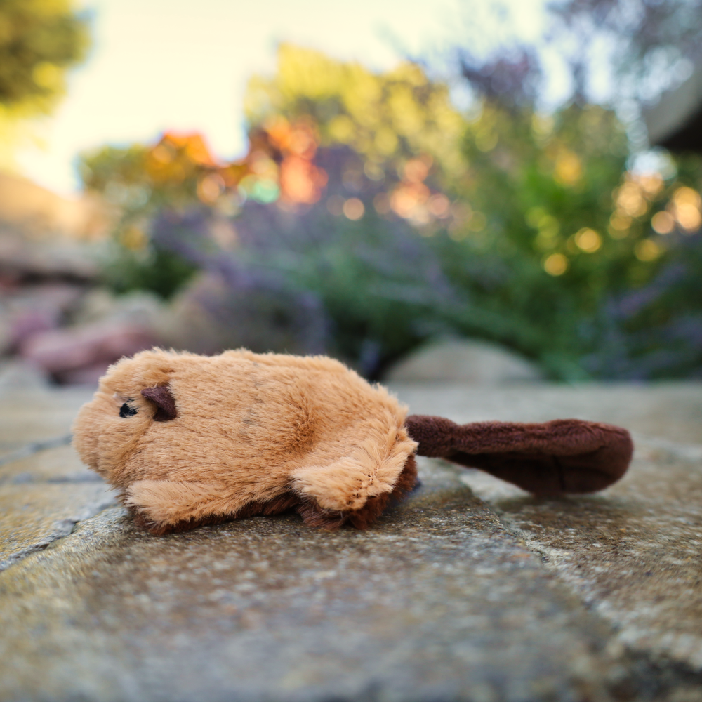 small stuffed animal dog toy