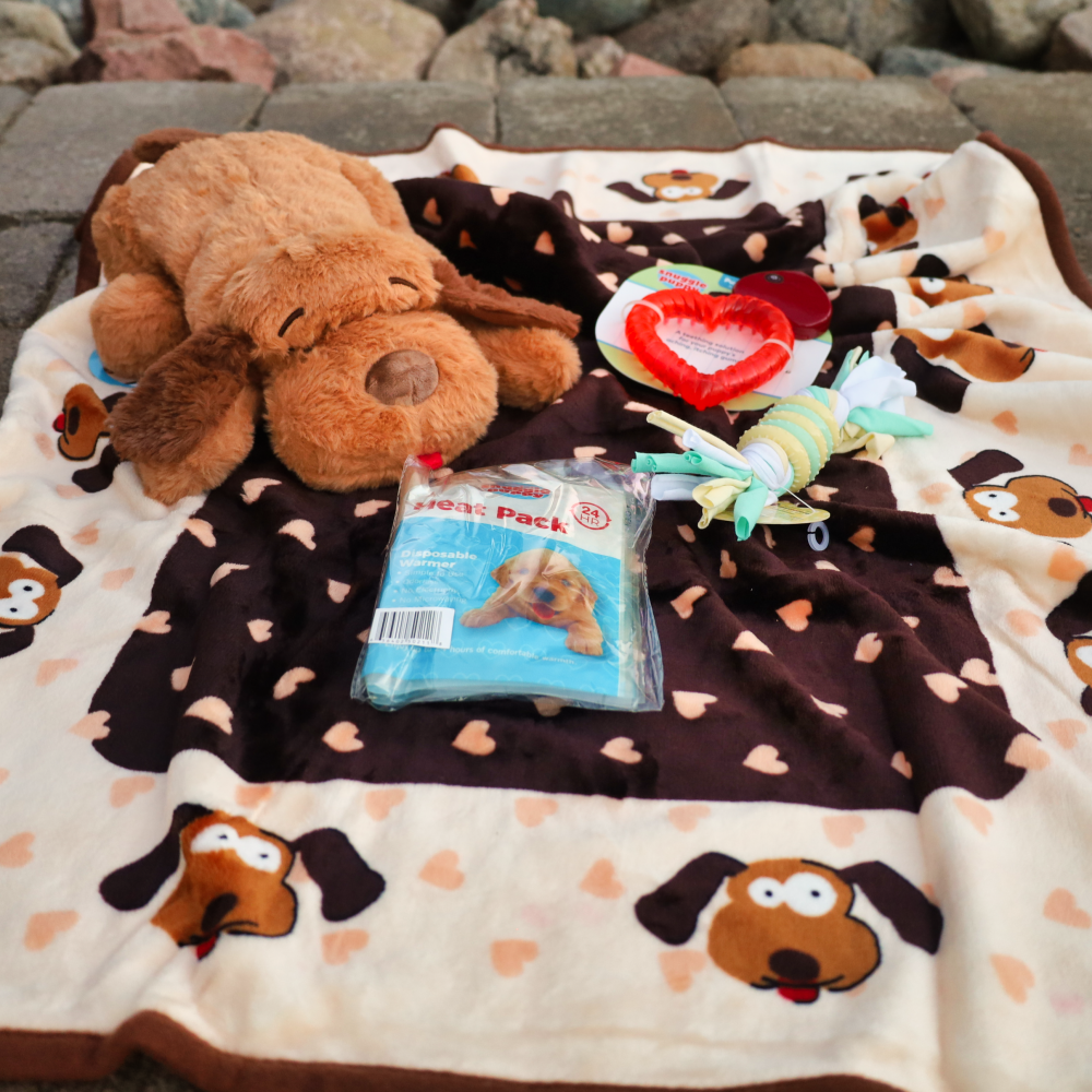 Paws Rabbit Starter Kit Comfortable Beginnings New Puppy Starter Kit – Little Paws Unleashed