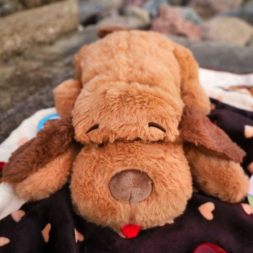 snuggle puppy with heartbeat