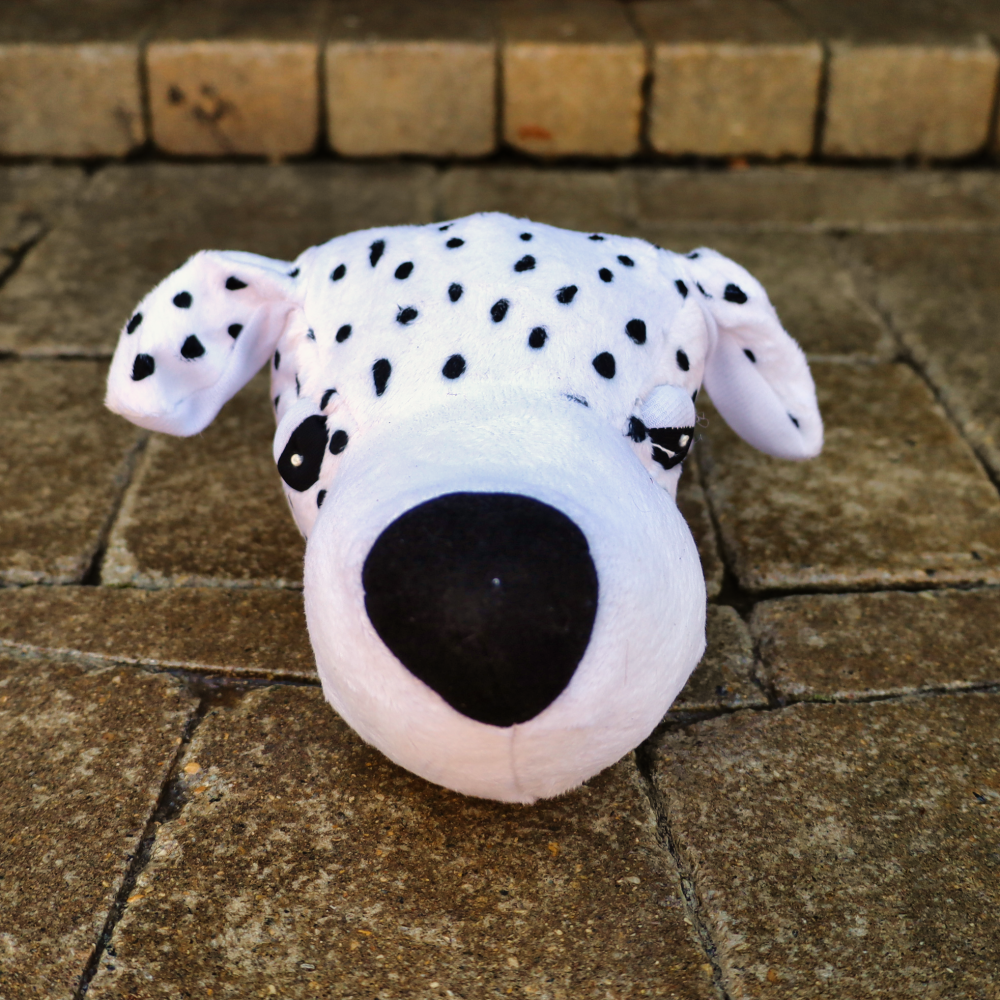 squeaky dog toy