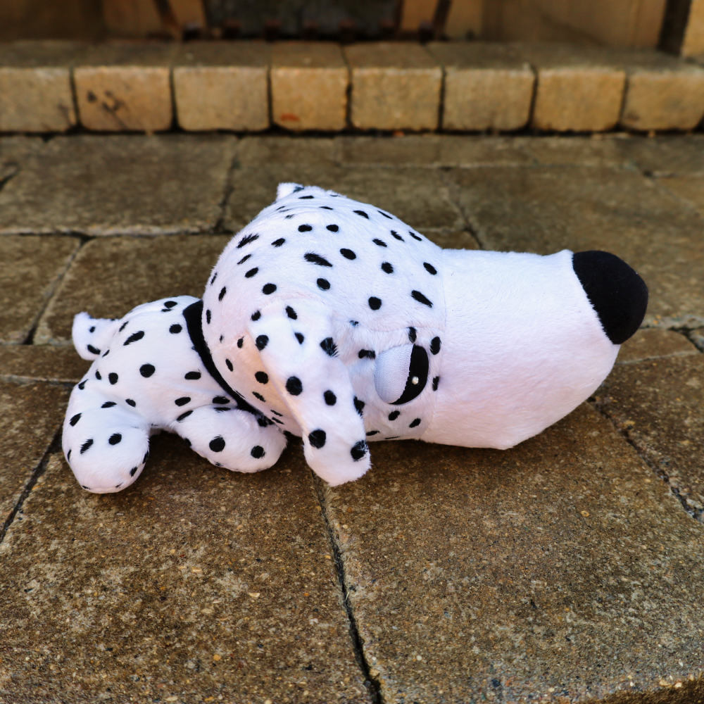 squeaky dog toys