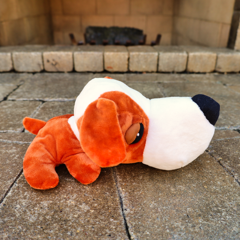 squeaky plush dog toy