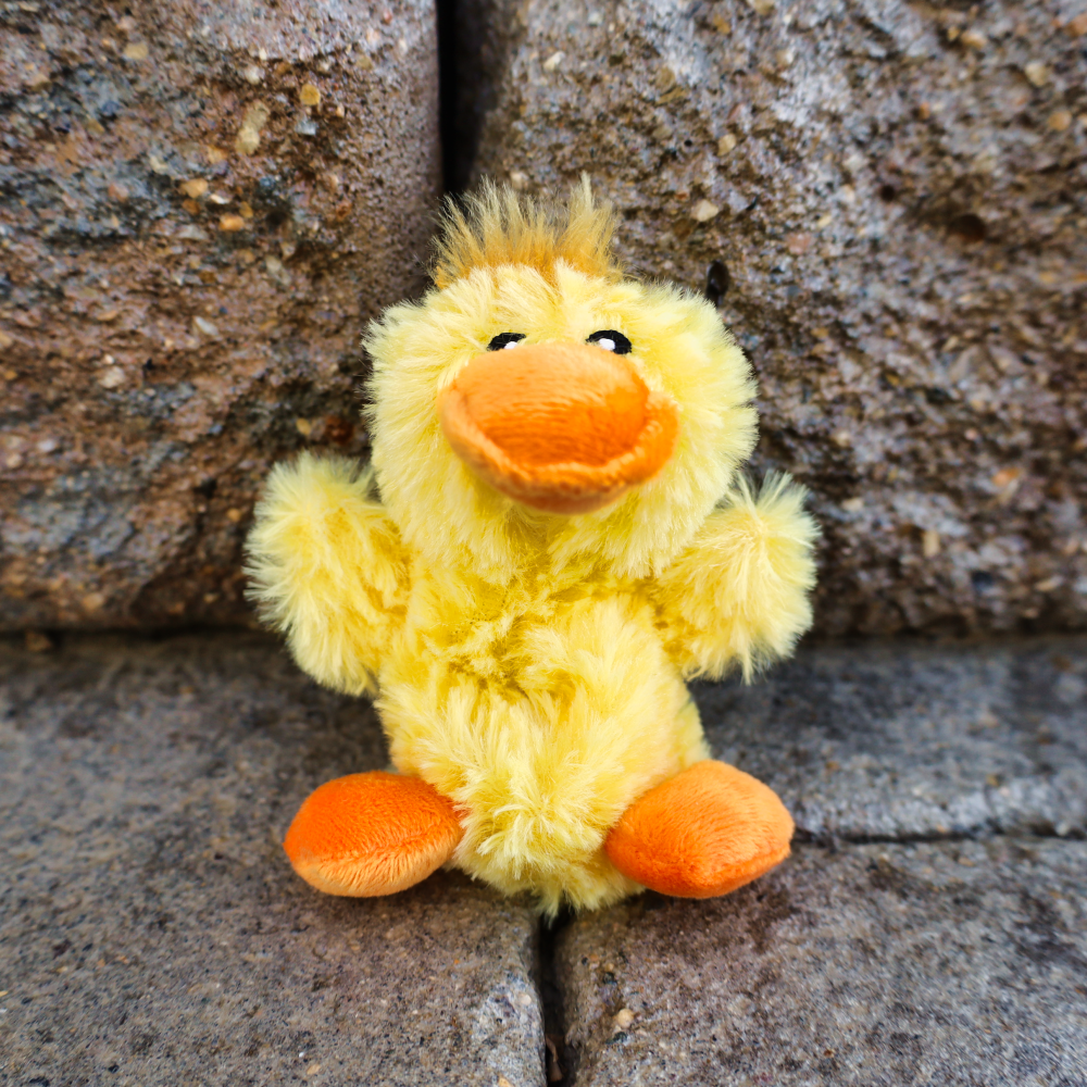 Kong duck dog toy deals