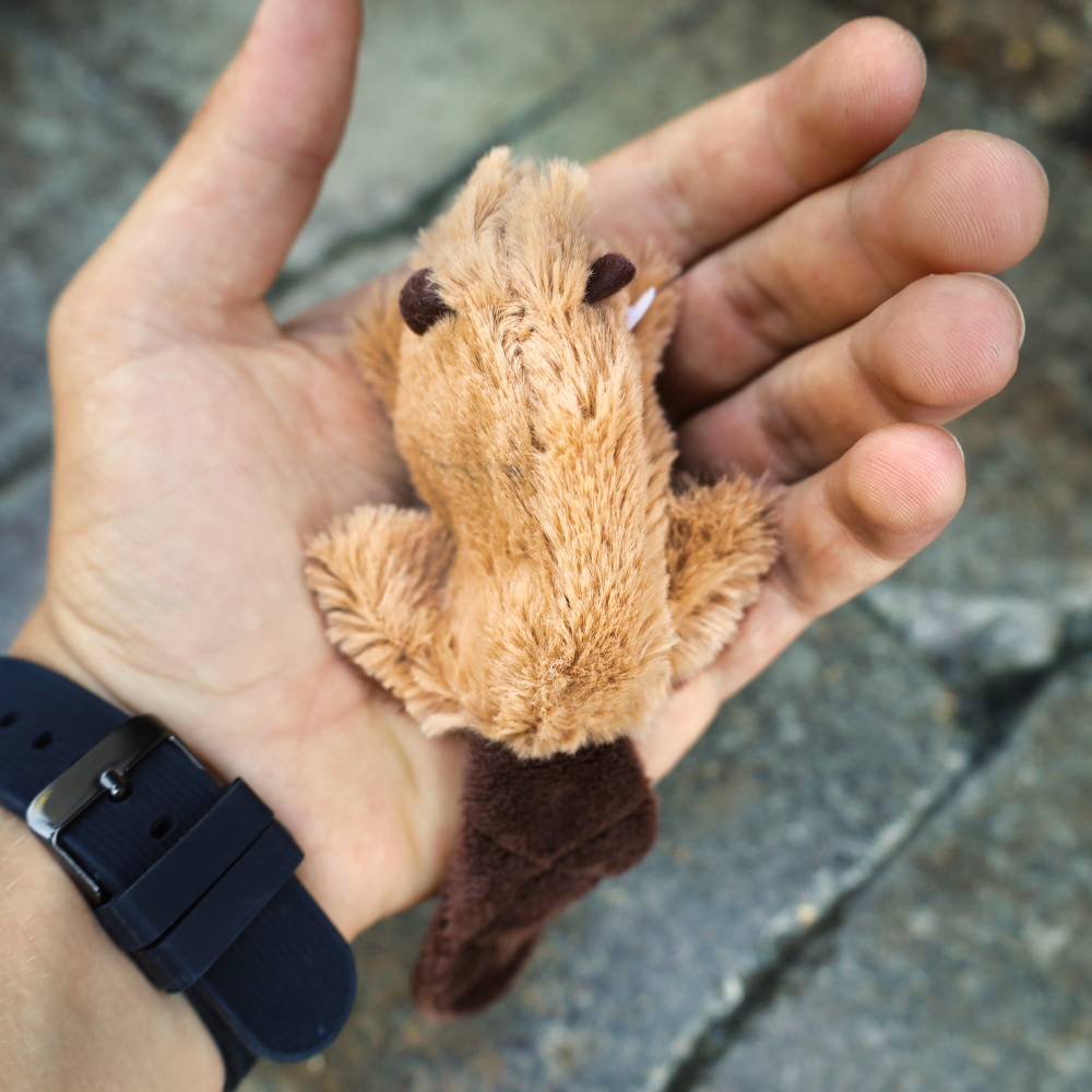 stuffed animal kong toy