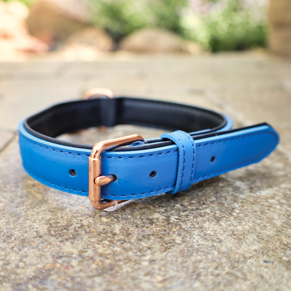 tough dog collar