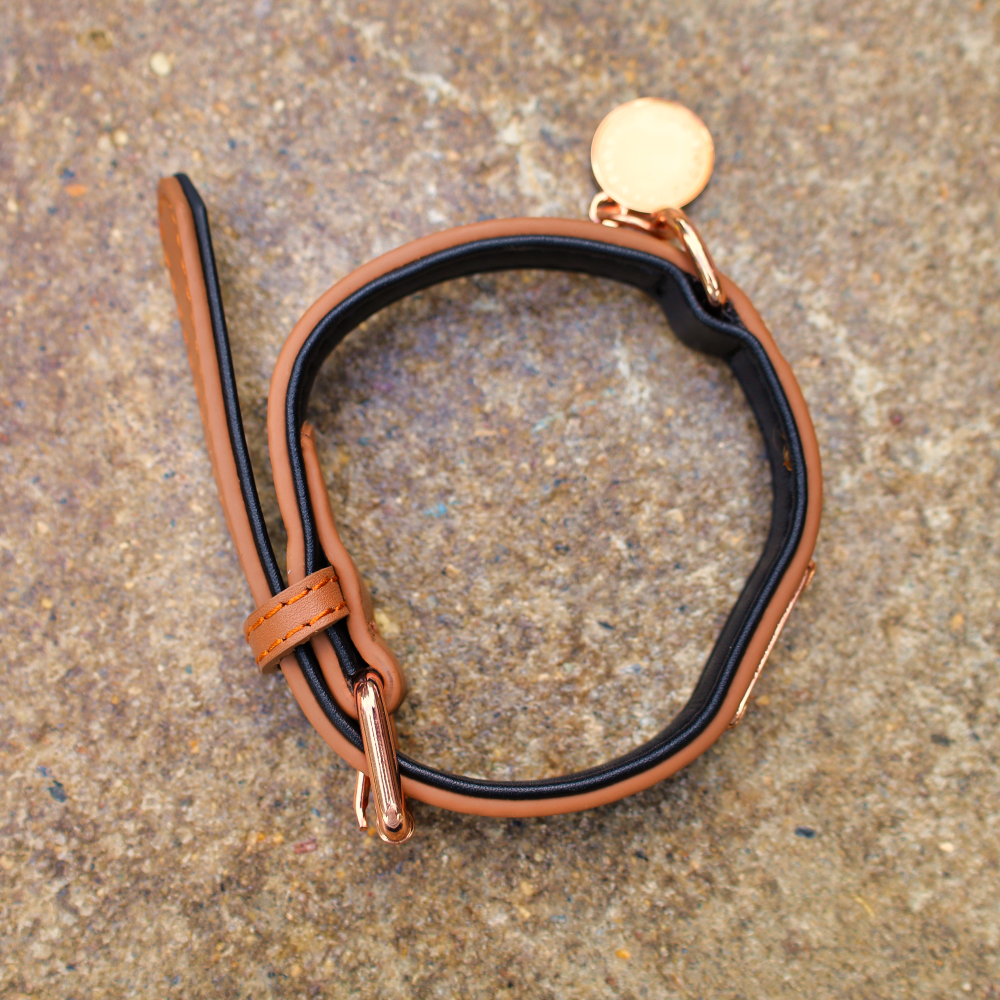 tough dog collars