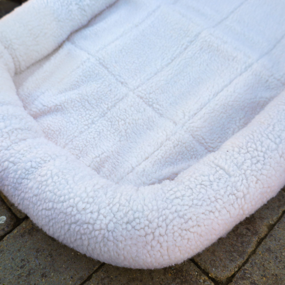white dog beds