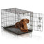 wire dog crate