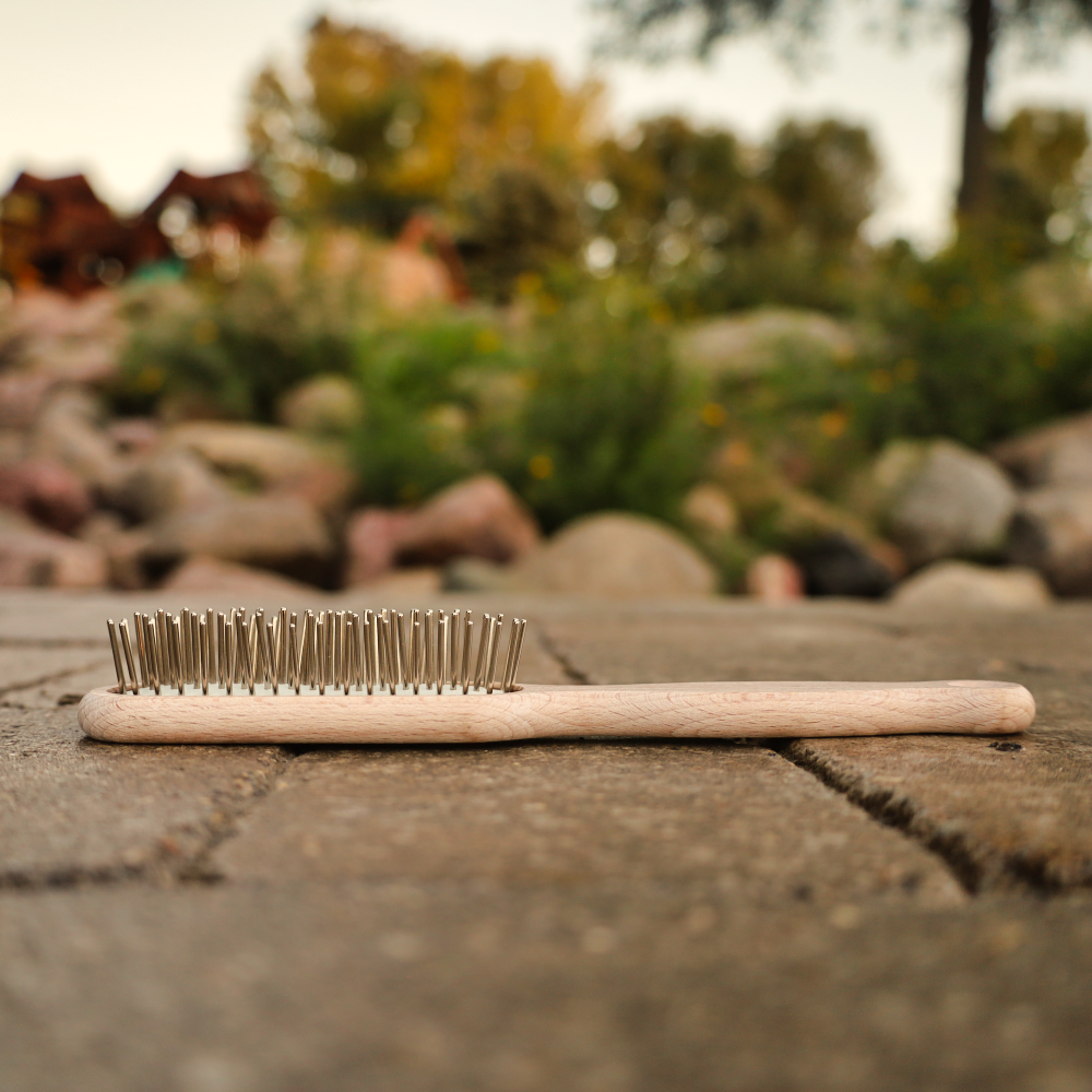 wooden dog brushes