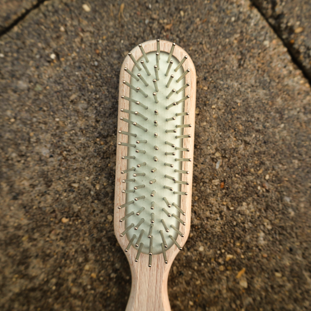 wooden pin brush for dogs