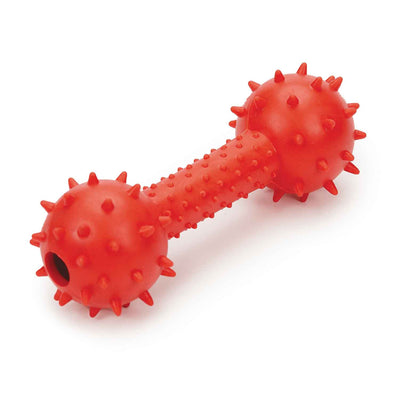 Tough Chewer Spiked DumbBell