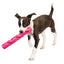 Crinkle Stuff Stick Rubber Dog Toy